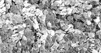 NATURAL GRAPHITE